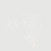 Calming Rose Face Mist