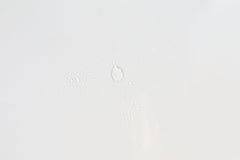 Rejuvenating Face Mist