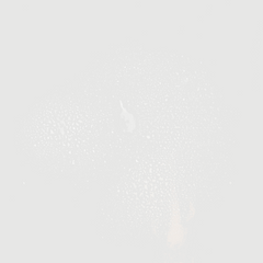 Skin Karma Aftershave and Face Mist